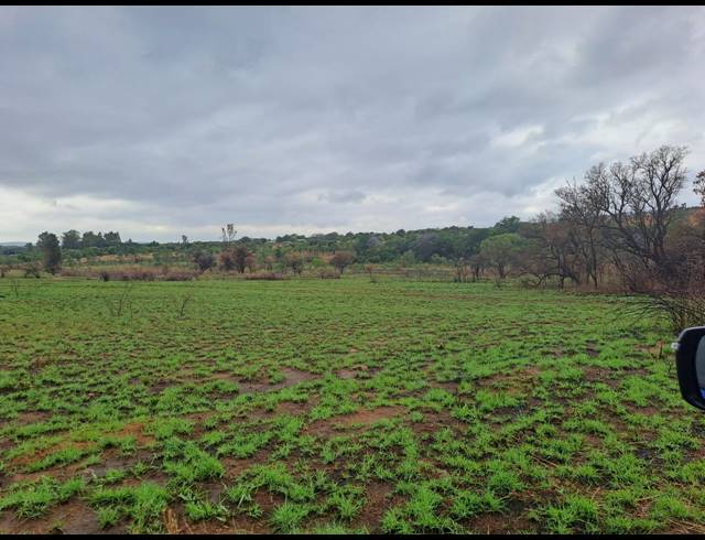 37.90HA FARM FOR SALE IN MODDERFONTEIN AH